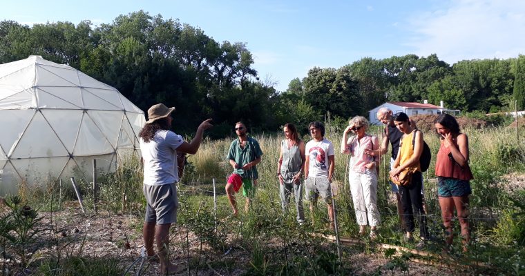 Nettoyage de printemps au jardin-forêt – 15 avril 2023