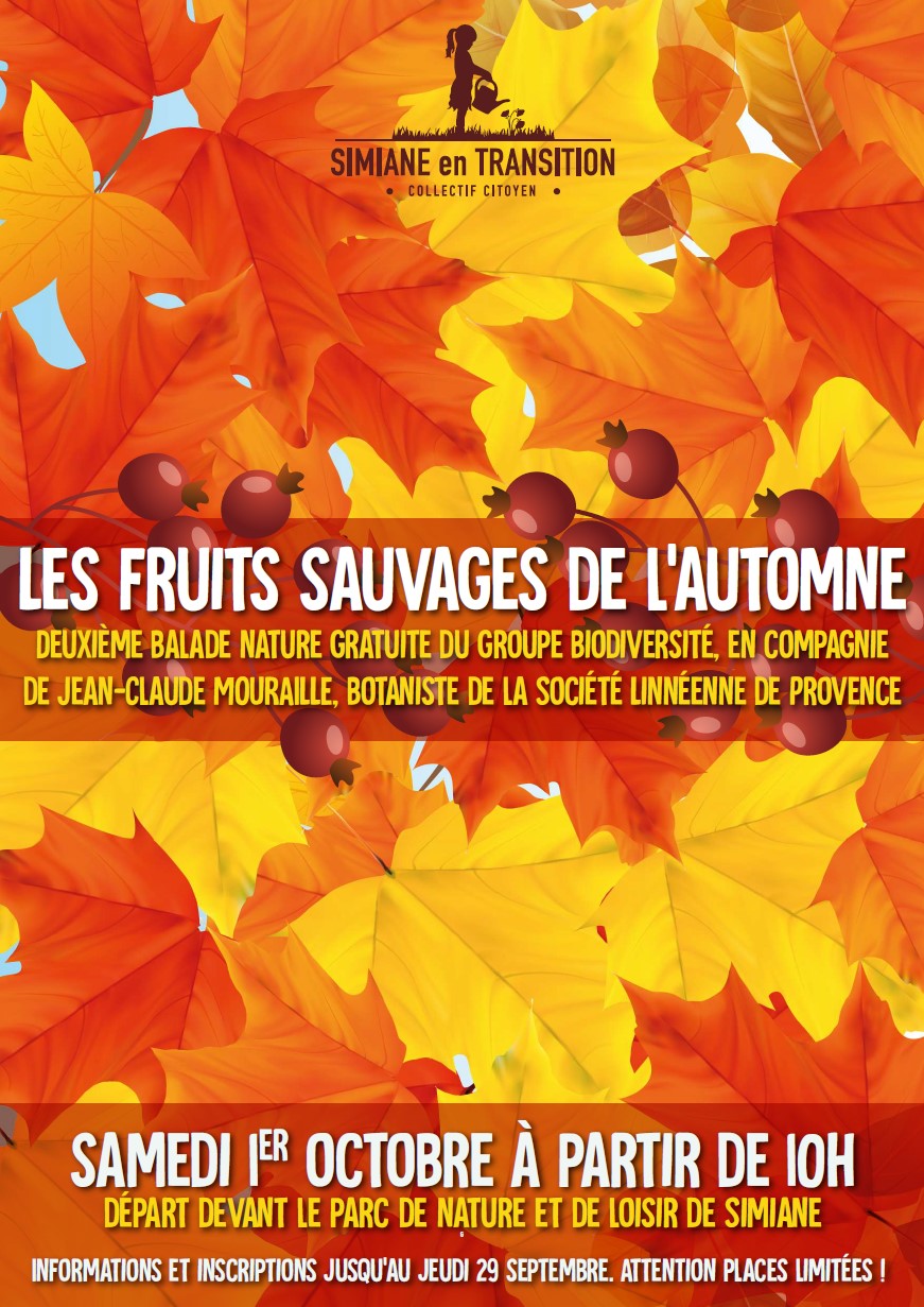Sortie Nature « Les fruits sauvages de l’automne », samedi 1er octobre
