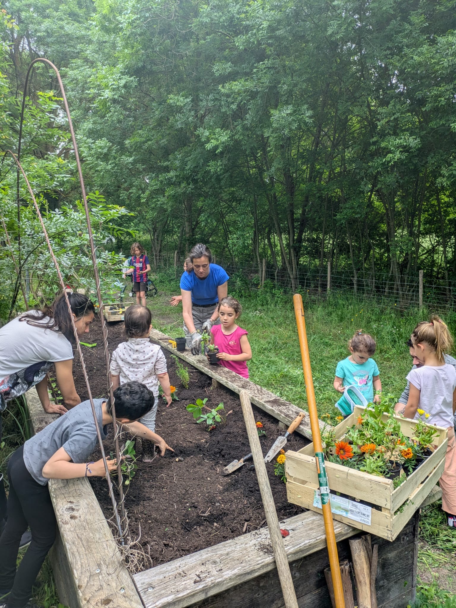 Débroussaillage et plantations de printemps au Jardin-forêt