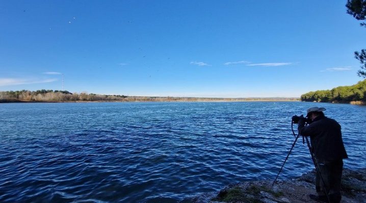 Sortie ornithologique le dimanche 12 octobre 2025