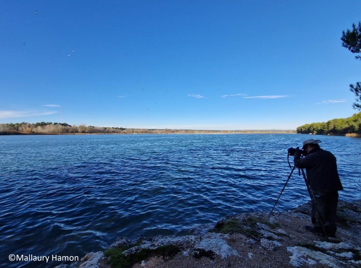 Sortie ornithologique le dimanche 12 octobre 2025