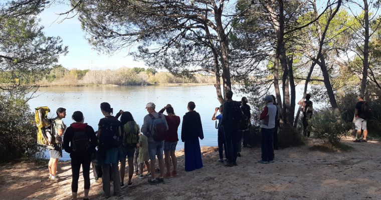 Très belle sortie au bassin du Réaltor