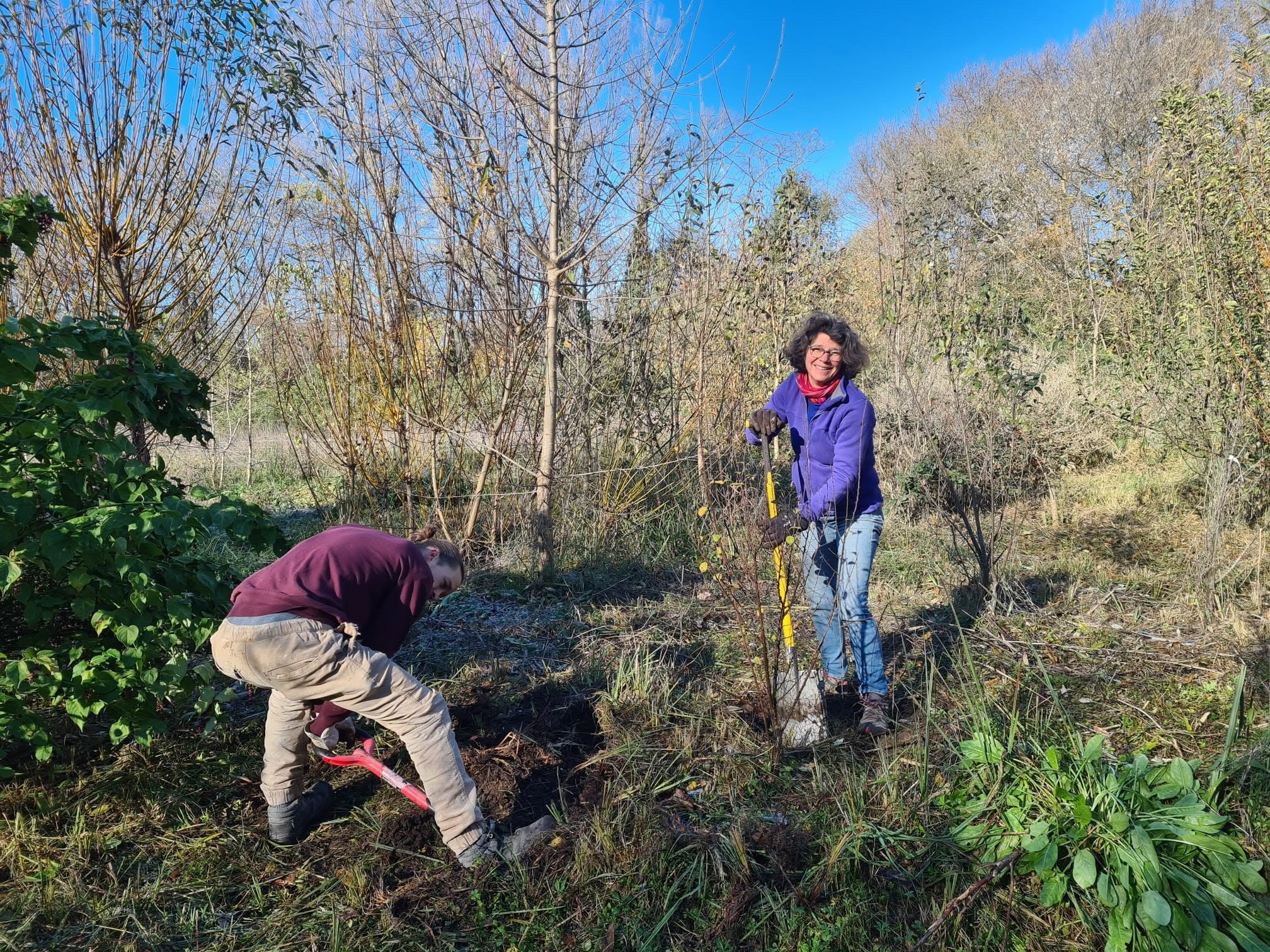 Chantier participatif au jardin-forêt