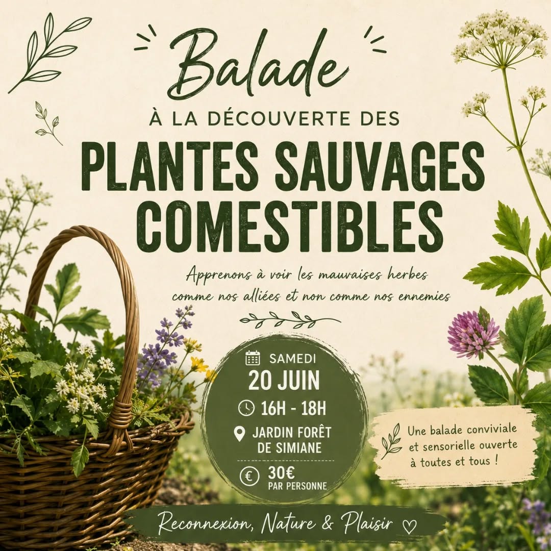 Ateliers du samedi 20 juin 2026 au jardin-forêt
