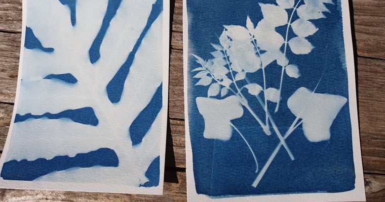 Atelier cyanotype et anthotype samedi 23 mai 2026