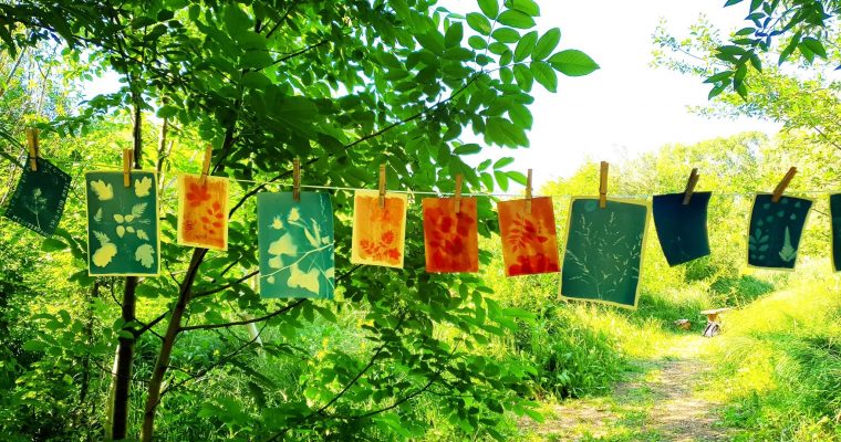 Retour sur l’atelier cyanotype et anthotype